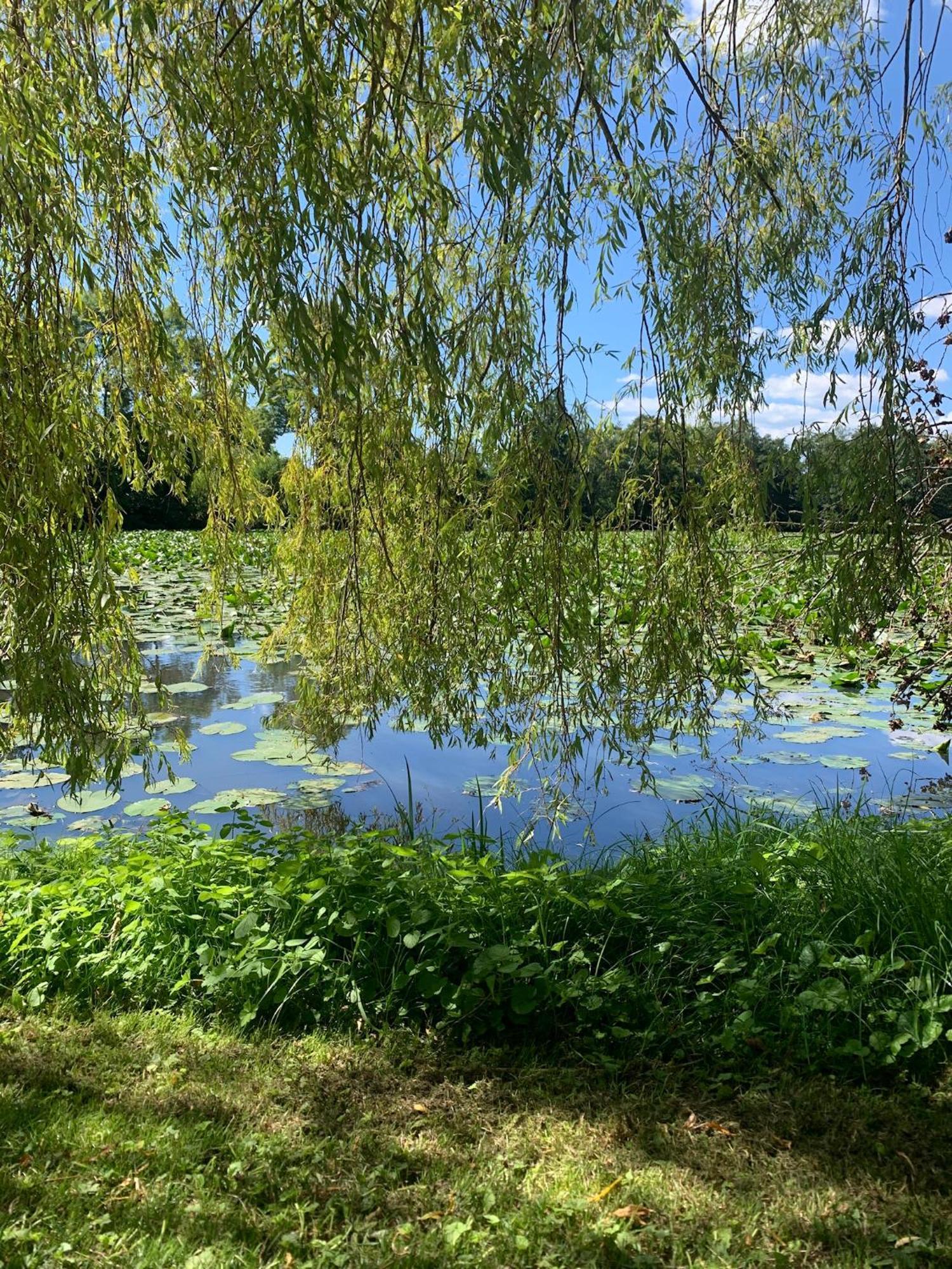 לינה וארוחת בוקר Neufmesnil Abbaye De Blanchelande מראה חיצוני תמונה
